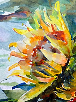 Watercolor art background abstract vibrant green yellow red white sunflower flower