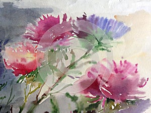 Watercolor art background colorful blue pink aster flower bouquet still life painting