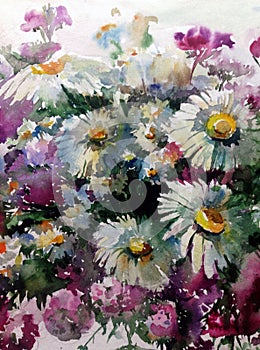 Watercolor art background colorful flower chamomile wild