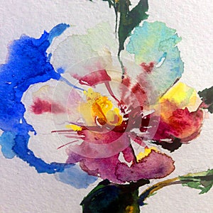 Watercolor art background colorful flower magic