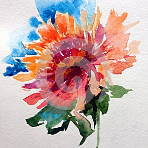 Watercolor art background colorful flower red dahlia violet single beautiful