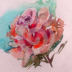 Watercolor art background colorful flower red pink violet rose