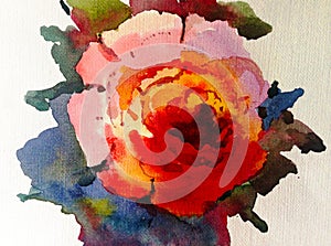 Watercolor art background colorful flower rose single garden