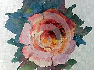 Watercolor art background colorful flower rose single garden