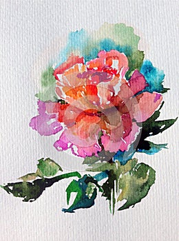 Watercolor art background colorful flower rose single garden