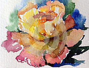 Watercolor art background colorful flower rose yellow tea