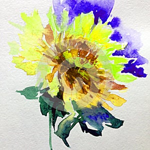 Watercolor art background colorful flower yellow orange dahlia violet single beautiful