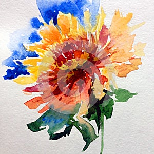 Watercolor art background colorful floweryellow red dahlia violet single beautiful