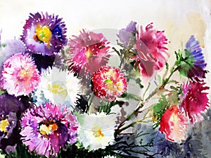 Watercolor art background colorful soft violet purple pink aster flower bouquet still life painting