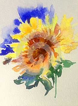 Watercolor art background floral flower yellow light delicate dahlia romantic beetle