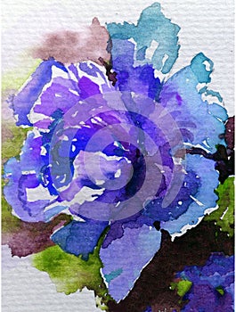 Watercolor art background nature fresh colorful ice blue rose flower single delicate romantic love