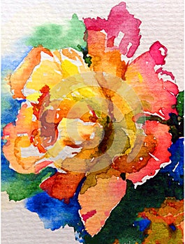 Watercolor art background nature fresh colorful pink yellow rose flower single delicate romantic love