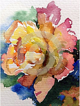 Watercolor art background nature fresh colorful yellow pink rose flower single delicate romantic love