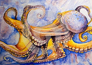 Watercolor art octopus photo