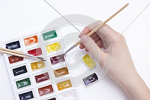 Watercolor art paint. Brush in hand. A palette of multi-colored paints for drawing with water. on white background.