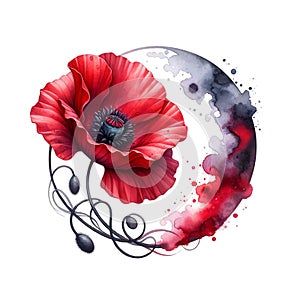 Watercolor artistic drawing red poppy with aquarelle spot. Beautiful art pattern. Painted poppy flower. Water color ornamental