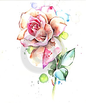 Watercolor Artistic Flower Composition Rose