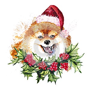 Watercolor artistic orange pomeranian dog in santa hat and holly wreath portrait isolated on white background.