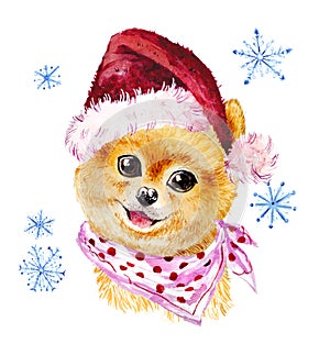 Watercolor artistic xmas dog in santa hat portrait isolated on white background.