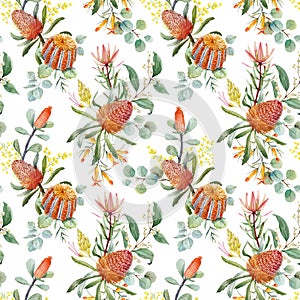Watercolor australian banksia floral pattern