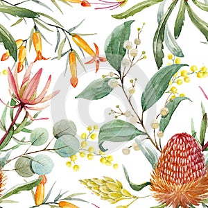 Watercolor australian banksia floral pattern