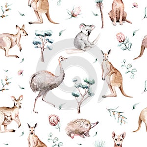 Akvarel austrálsky návrh maľby klokan a lietanie líška bezšvový vzor. austrálsky klokany sada 