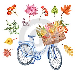 Watercolor autumn bicycle and colorful leaves in a wooden basket. Cute blue bike with fall foliage bouquet and roses on white