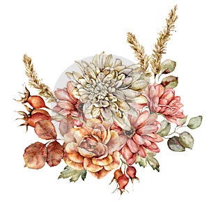 Watercolor autumn bouquet of aster, dahlia, rose, leaves and pampas grass. Hand painted meadow flowers isolated on white