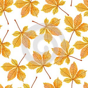 Watercolor autumn chestnut leaves seamless pattern.