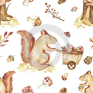 Watercolor autumn children set, card with cute squirrel, nuts, trolley.