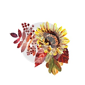 Watercolor autumn composition with flower and leaves on a white background