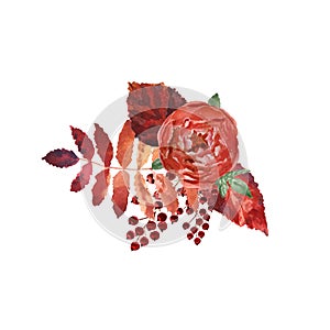 Watercolor autumn composition with flower and leaves on a white background