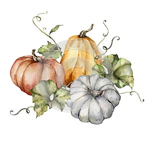 Watercolor autumn composition of pumpkins and leaves. Hand painted blue, red and orange gourds isolated on white