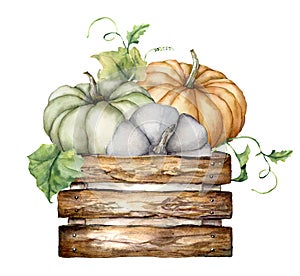 Watercolor autumn composition with pumpkins and leaves in the wooden box. Hand painted blue, green and orange gourds