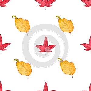 Watercolor Autumn Fall Seamless Pattern. Leaf Pattern. Botanical illustration. October print. Design for tile