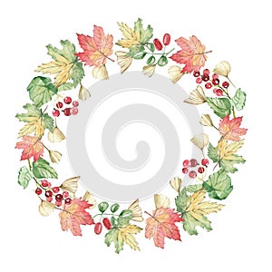 Watercolor autumn floral branches and leaves wreath. Rustic greenery. Illustration for invintation, greeting card