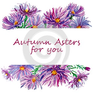 Watercolor autumn flowers asters in borderline on white background