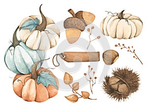 Watercolor autumn harvest set: pumpkin, acorns, chestnuts, blank tag, physalis fruits