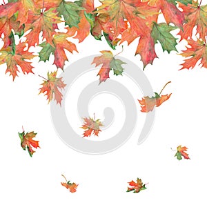 Watercolor autumn. Horisontal border of leaves