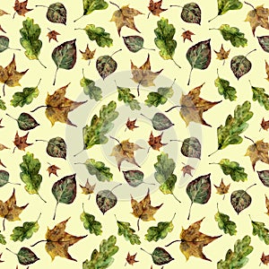Watercolor autumn leaves seamless pattern. Hand painted oak, maple, aspen fall leaves ornament isolated on yellow