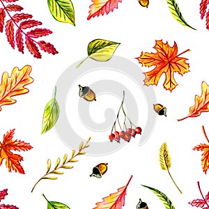 Watercolor autumn leaves seamless pattern. leaves maple, birch, willow, oak, acorn, rowan leaf and berries, grass spike seamless