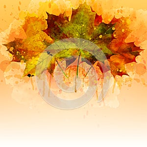 Watercolor autumn leaves. Vector