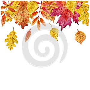 Watercolor autumn leaves vector frame