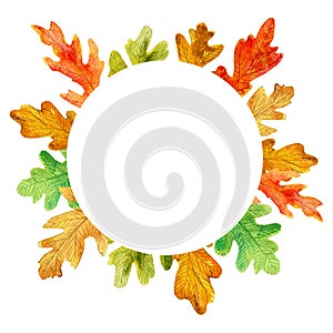 Watercolor autumn oak leaves. Circle frame on white background