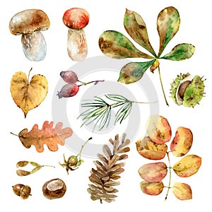 Watercolor autumn set