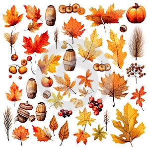 Watercolor autumn set cliparts, leaves, acorns, mushrooms, berries, pine cones isolated on white background.