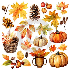 Watercolor autumn set cliparts, leaves, acorns, mushrooms, berries, pine cones isolated on white background.