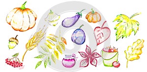 Watercolor autumn set with colorful autumn leaves, vegetables, fruits