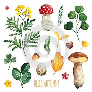 Watercolor Autumn set with leaves, mushrooms