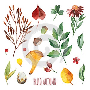 Watercolor Autumn set with leaves,mushrooms,berries,branches